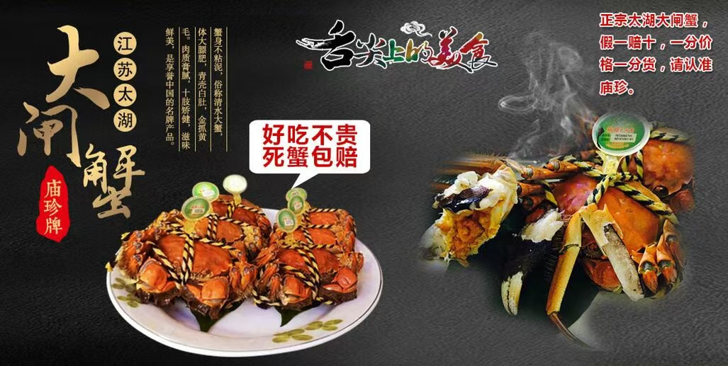 品牌形象背景图